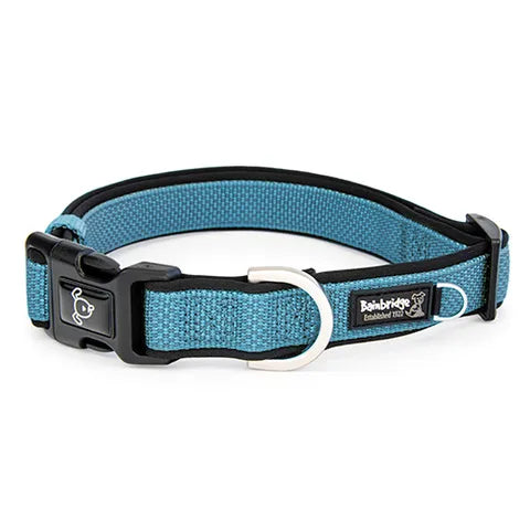 PREMIUM SPORT DOG COLLARS Brendale Produce