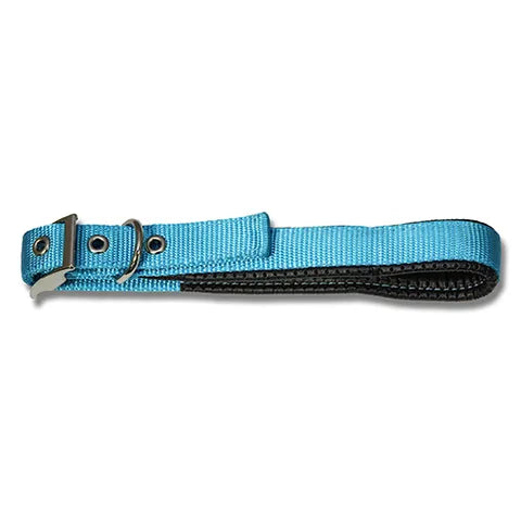 PADDED WEBBED DOG COLLARS