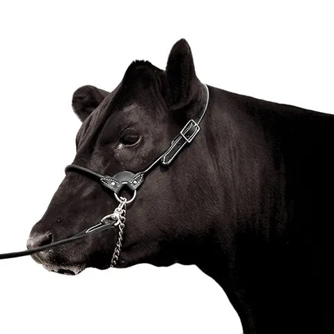 LEATHER SHOW HALTERS