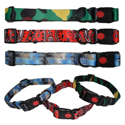 ADJUSTABLE PRINTED NYLON DOG COLLAR