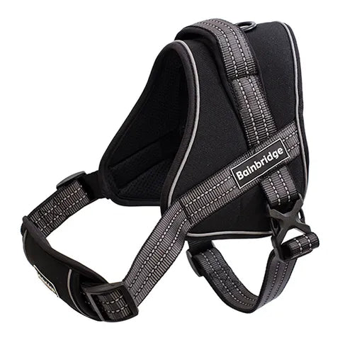 PADDED DOG HARNESS