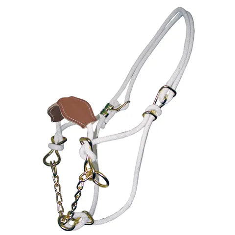 HACKAMORE HALTER WITH LEATHER NOSE BAND