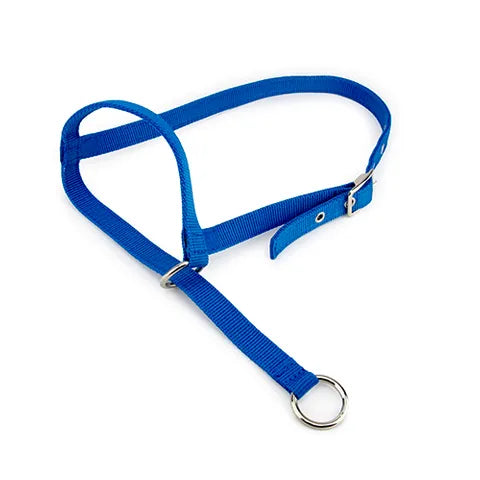 LEADING HALTER