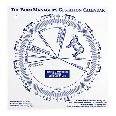 GESTATIONAL CALENDER